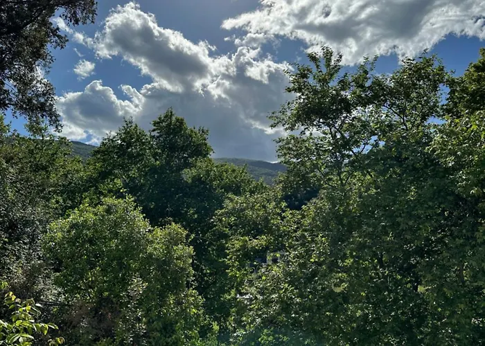 Dimos * Kókkinon Nerón